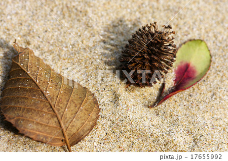 砂浜のイメージ 気仙沼大島くぐなり浜 17655992