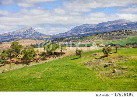Andalusia Landscape in Spain Andalusia Landscape in Spain 17656195