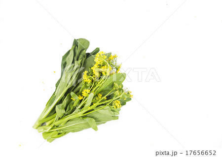 Bunch of floral choy sum green leafy vegetable Bunch of floral choy sum green leafy vegetable 17656652