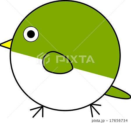 丸鳥 メジロ のイラスト素材