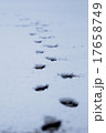 足跡 17658749