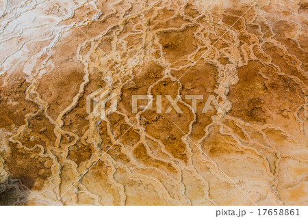 Mammoth Hot Springs. Yellowstone National Park 17658861