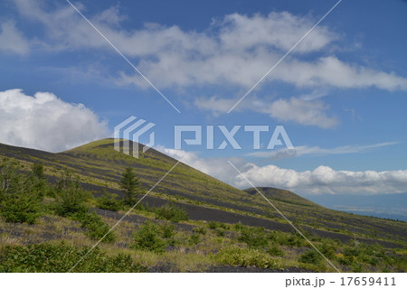 富士山御殿庭と双子山 17659411