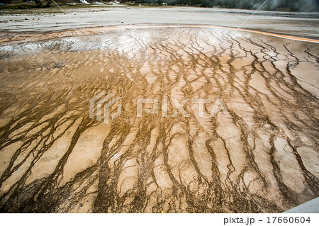 West Thumb Geyser Basin  17660604