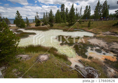 West Thumb Geyser Basin. Yellowstone National Park West Thumb Geyser Basin. Yellowstone National Park 17660626