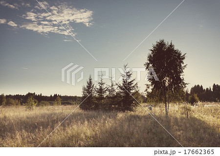 Sunset over the meadow with Instagram style filter 17662365