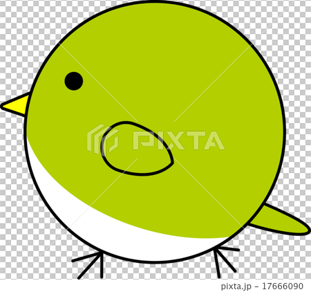 丸鳥（ウグイス） 17666090