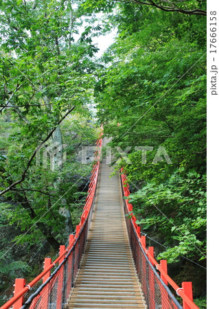 けさかけ橋 17666158