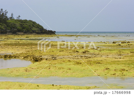 沖縄、水納島(クロワッサンアイランド)、珊瑚が堆積した不思議な風景、南西側の湾 沖縄、水納島(クロワッサンアイランド)、珊瑚が堆積した不思議な風景、南西側の湾 17666998