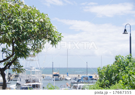 ハワイ_マウイ島_マアラエア湾01 ハワイ_マウイ島_マアラエア湾01 17667355