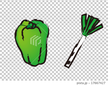 Green peppers and onion 17667427