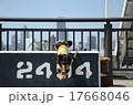 ジャンプ！ 17668046