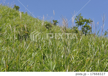 三平山 三平山 17668327