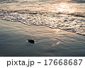 波打ち際と流木 17668687