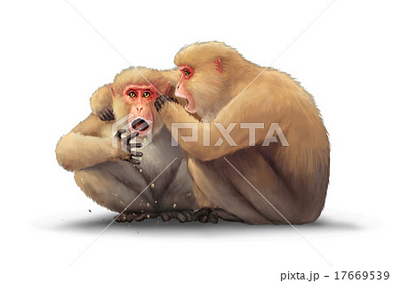 内緒話する猿たちのイラスト素材