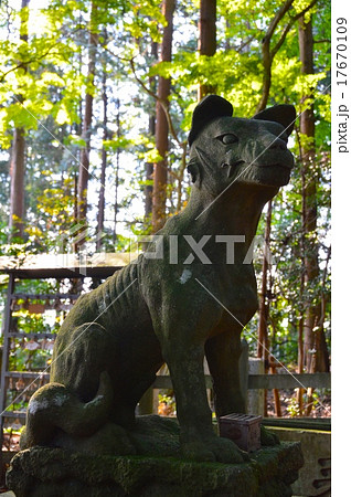 宝登山神社・奥宮の「ヤマイヌ(狛犬)」の像(埼玉県秩父郡長瀞町長瀞) 宝登山神社・奥宮の「ヤマイヌ(狛犬)」の像(埼玉県秩父郡長瀞町長瀞) 17670109