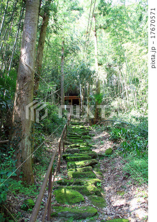 穴井戸観音 17670571