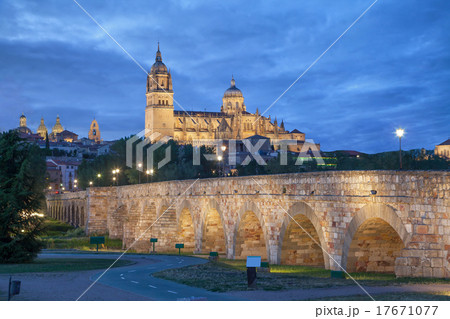 Romana Bridge with New Cathedral in Salamanca 17671077