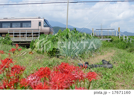 小田急線 特急ロマンスカー 30000形 EXE 鶴巻温泉付近 小田急線 特急ロマンスカー 30000形 EXE 鶴巻温泉付近 17671160