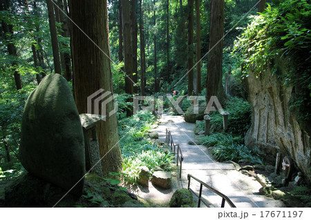 山寺 山寺 17671197