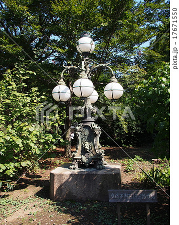 東京　皇居　東御苑　皇居石橋旧飾電燈 17671550