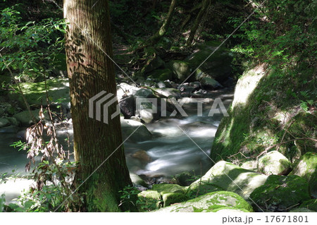 矢谷渓谷 17671801