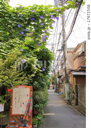 根津の路地 根津の路地 17672506