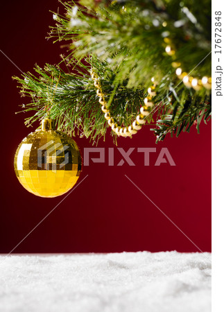 christmas tree christmas tree 17672848