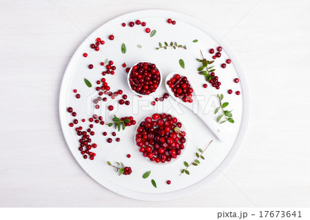 Wild cranberry and foxberry Wild cranberry and foxberry 17673641