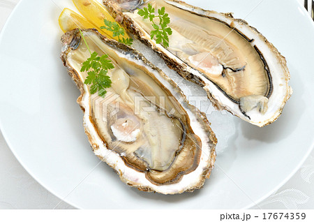生食用の新鮮な牡蠣(牡蛎/カキ)、オイスターバーイメージ。 生食用の新鮮な牡蠣(牡蛎/カキ)、オイスターバーイメージ。 17674359
