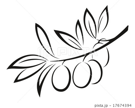 Olive Branch with Berries Black Iconのイラスト素材 [17674394] - PIXTA