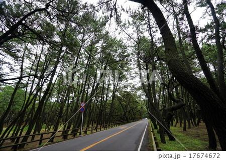 虹の松原 17674672