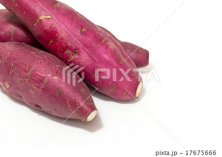 さつまいも 17675666