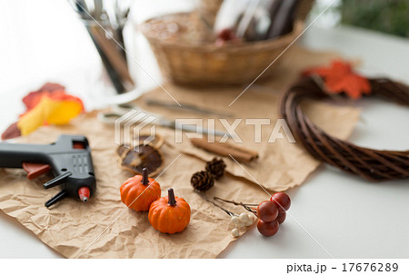 様々な材料 (秋・ハロウィン用など) 様々な材料 (秋・ハロウィン用など) 17676289