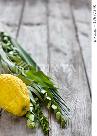 Symbols of Sukkot 17677240