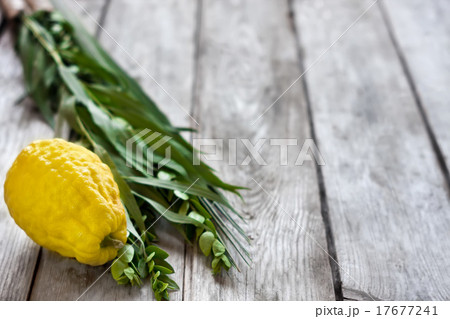 Symbols of Sukkot 17677241