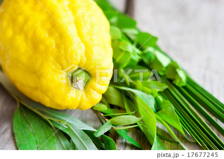 Symbols of Sukkot 17677245