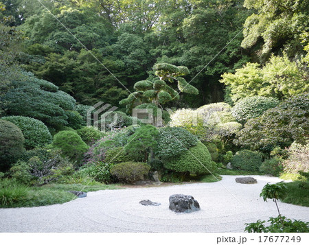 報国寺中庭 17677249