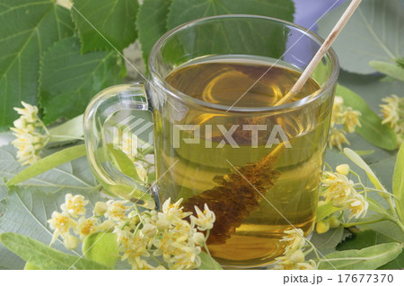 Lime tea with sugar stick, lemon and lime flowers 17677370