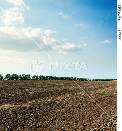 soil after harvesting and clouds in blue sky 17677864