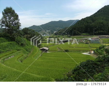 棚田の風景 棚田の風景 17679314