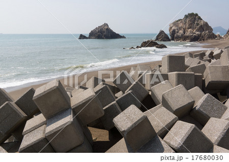 テトラボット テトラボット 17680030