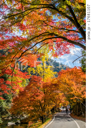 紅葉の豪渓 17681107