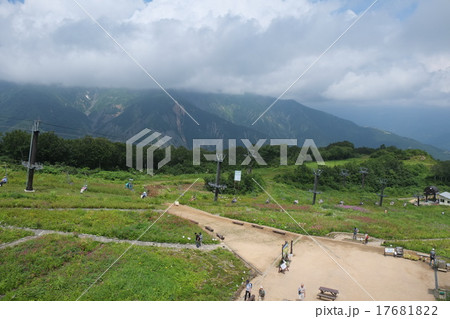高山植物園2015夏その2 高山植物園2015夏その2 17681822