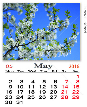 calendar for May 2016 17682656