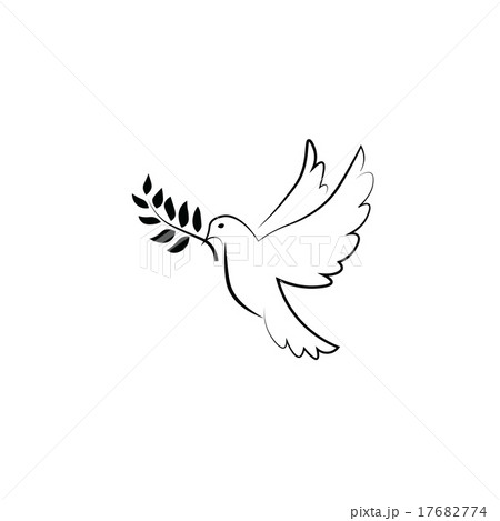 Pigeon olive peace 17682774