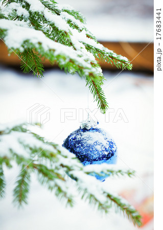 Christmas balls outdoors Christmas balls outdoors 17683441