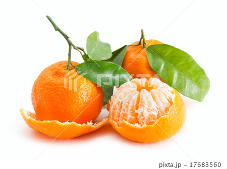 Tangerine Citrus fruits on white background 17683560