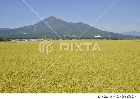 秋の田んぼと磐梯山 17683917