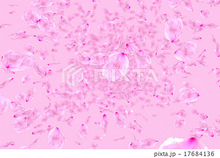 ピンクの背景に乱舞する桜の花びら ピンクの背景に乱舞する桜の花びら 17684136